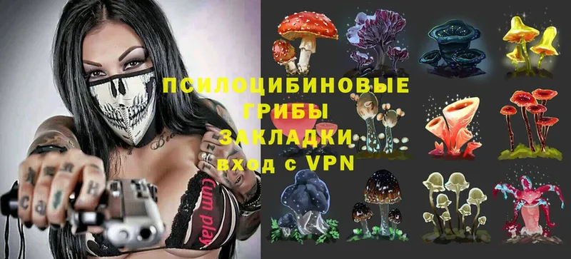 Галлюциногенные грибы MAGIC MUSHROOMS  где купить наркоту  Поворино 